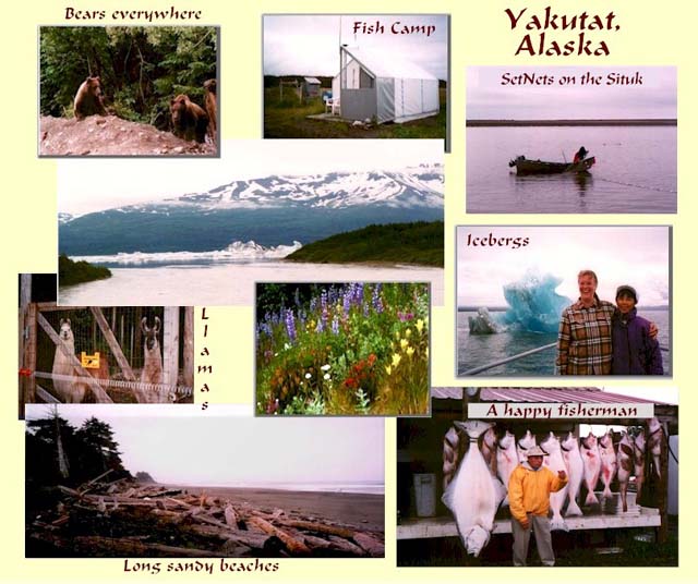 Fish the Situk River, see bears, and long sandy white beaches in Yakutat, Alaska.