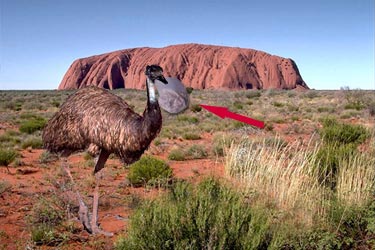 Ayers Rock